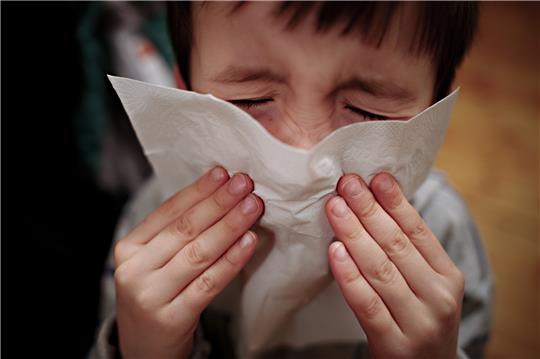 Die Allergologin Katja Nemat empfiehlt Eltern, die Symptome ihrer Kinder und den Zeitpunkt des Auftretens sorgfältig zu notieren. Foto: Nicolas Armer, dpa