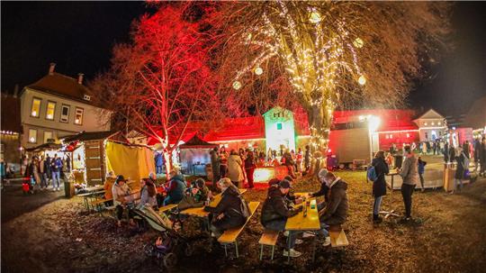 Beleuchtete Gebäude und Bäume beim Advent im Gestüt in Bad Harzburg.