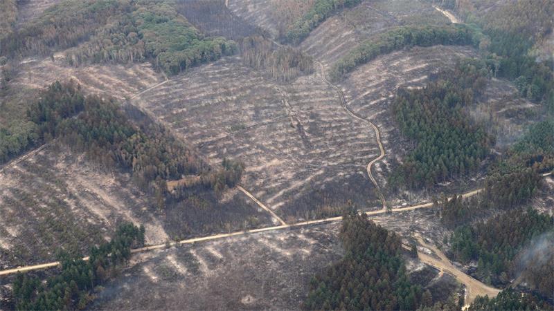Angst vor der Feuerfront in der Eifel Die Aufnahme aus einem Flugzeug zeigt das Waldbrandgebiet im Hürtgenwald.
