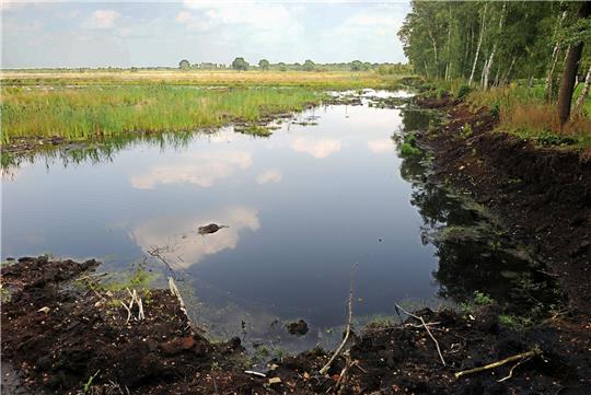 Die Aufnahme zeigt das wiedervernässte Gebiet des Teufelsmoors bei Worpswede (Niedersachsen). Weite Teile des Moors sind wiedervernässt und stehen unter Naturschutz.