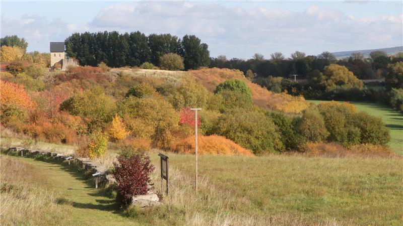 Die Aufnahme zeigt, dass sich das Pfalzgelände auf einem Geländesporn befindet, der zur Oker abfällt.