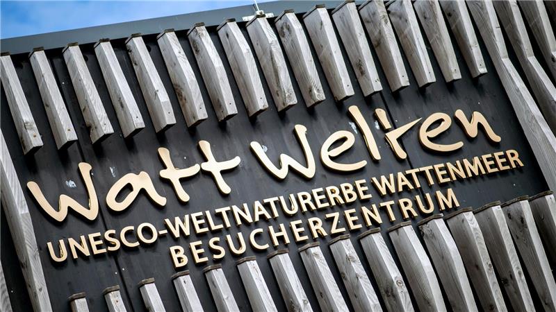 Die Ausstellung im Besucherzentrum Watt Welten auf Norderney ist rundum erneuert worden. (Archivbild)