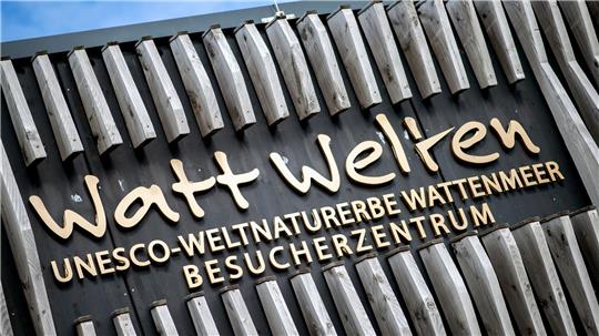 Die Ausstellung im Besucherzentrum Watt Welten auf Norderney ist rundum erneuert worden. (Archivbild)