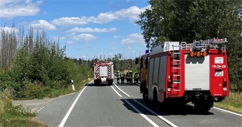 Das Auto zeigt Feuerwehrwagen und mehrere Feuerwehrleute auf einer Straße.