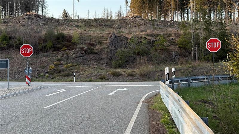 Das Foto zeigt eine Straße mit zwei Stoppschildern.