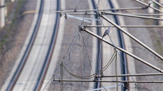 Die Bahn braucht während der geplanten Generalsanierung zwischen Lehrte und Berlin im kommenden Jahr ein neues Umleitungskonzept. (Archivbild)