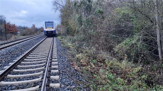Die Bahnstrecke bei Vienenburg. Hier ist ein Rind von einem Zug erfasst worden. Foto: Bundespolizeiinspektion Hannover