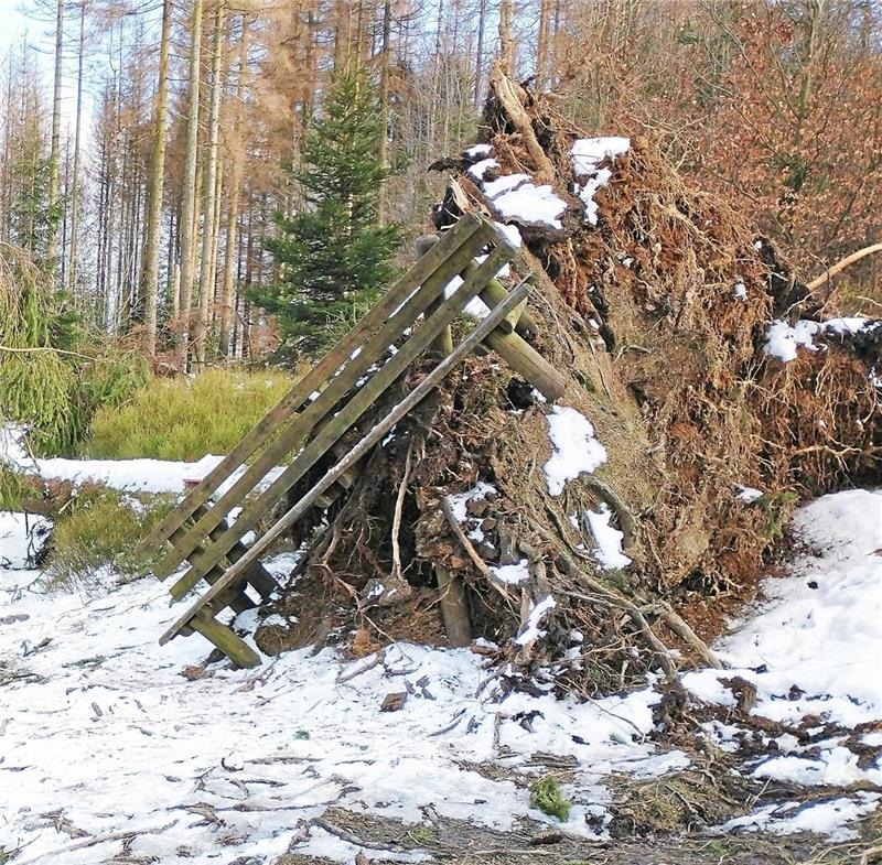 Sturmschäden bei Buntenbock sind jetzt behoben Die Bank am Neuen Graben hat es im Februar durch eine umgestützte Fichte aus den Angeln gehoben.
