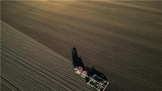 Die Bauern befürchten schwierige Geschäftsbedingungen 2026. (Archivbild) 