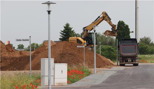 Ein Bagger belädt einen Lkw.