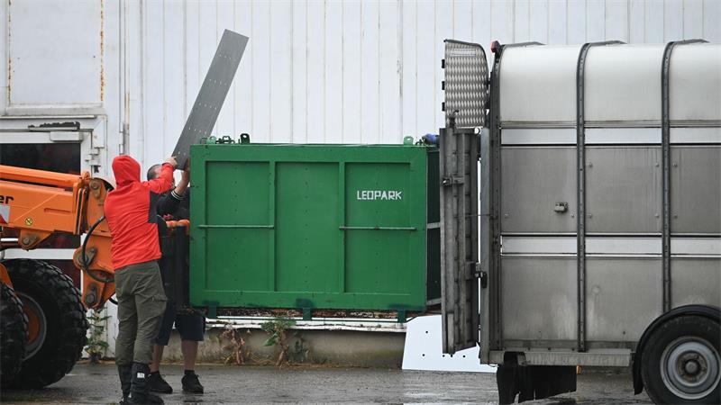 Behörden bringen nach Ausbruch bei Leipzig sechs Tiger weg Die Behörden wollen für eine tierschutzgerechte Unterbringung sorgen.