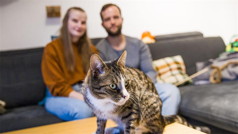 Nach drei Wochen ohne Kater Carlo: „Einfach überglücklich“ Die Besitzer schildern die bleibende Sorge, „dass vielleicht wieder irgendwas passiert mit ihm“.