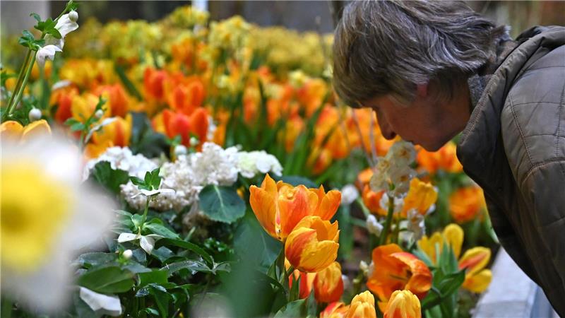 Die Besucherzahl auf der diesjährigen Woche übertraf die Erwartungen deutlich. (Archivbild)