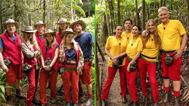 Die Bewohner des Dschungelcamps wohnen seit dem zweiten Tag alle zusammen. 