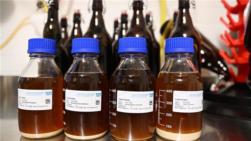 Tag des Bieres: Forschungsbrauerei der TU Clausthal lädt ein Die Biere in der Forschungsbrauerei werden mit Hefen aus dem Harz gebraut.