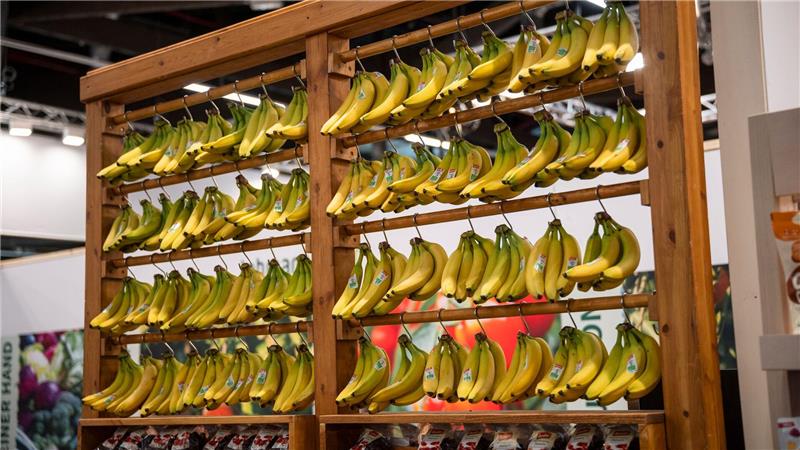 Die Biobranche boomt in Deutschland - doch die Landwirte kommen mit dem Anbau kaum nach.