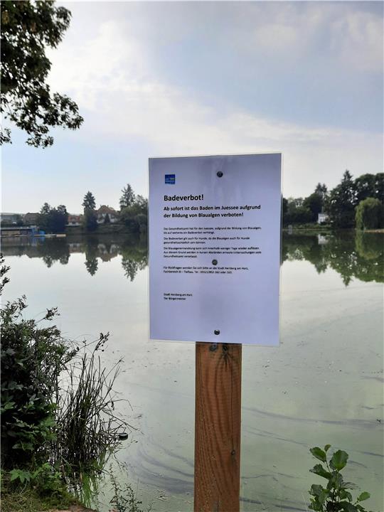 Die Blaualgen blühen: Badeverbot im Herzberger Juessee. Foto: Stadt Herzberg