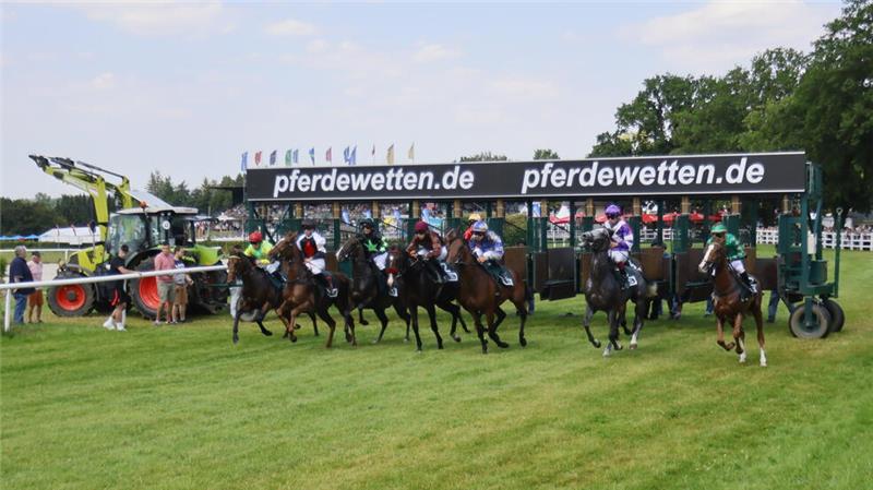 Die Boxen zur 145. Harzburger Galopprennwoche öffnen sich am 19. Juli.