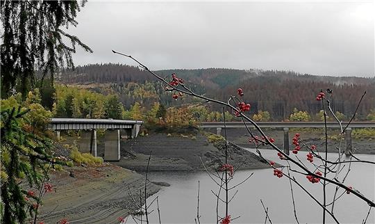 Die Bramkebrücke an der Okertalsperre (links im Bild) ist Teil der Landesstraße 517. Weil sich an der Unterseite des Bauwerks Betonteile lösen könnten, soll ein Sicherheitsnetz angebracht werden. Der Beginn der Arbeiten verzögert sich aber schon seit Frühjahr. Foto: Nachtweyh
