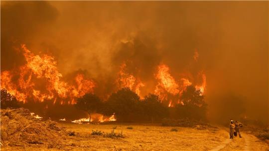 Die Brandbekämpfer sehen sich teilweise mit riesigen Feuerwänden konfrontiert, die durch stürmische Winde jederzeit blitzartig die Richtung ändern können. 