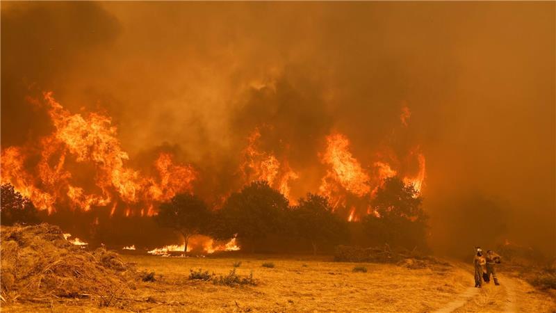 Waldbrände: Auch Portugal bittet um EU-Hilfe Die Brandbekämpfer sehen sich teilweise mit riesigen Feuerwänden konfrontiert, die durch stürmische Winde jederzeit schnell die Richtung ändern können.