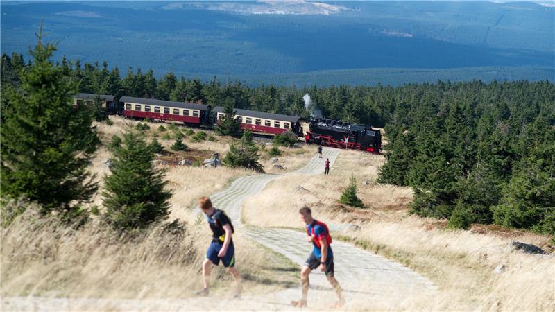 Die Brockenbahn der Harzer Schmalspurbahnen verlässt bei ruhigem, spätsommerlichem Wetter das Gipfelplateau und fährt Richtung Tal, während Wanderer einen alten Patrouillenweg hochgehen. Bei einer hohen Waldbrandgefahrenstufe verkehren keine mit Kohle befeuerten Loks mehr zum Brocken, stattdessen werden Dieselloks eingesetzt.