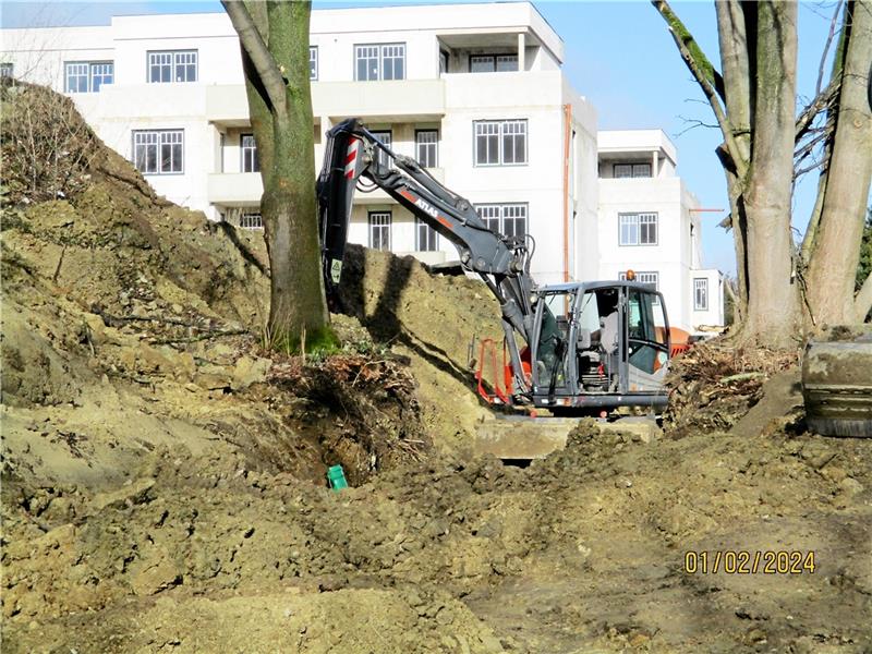 Goslar: Baumfrevel-Vorwurf am Cattenberg-Park Die Bürgerliste vermutet Baumfrevel auf der Cattenberg-Park-Baustelle. Foto: Privat