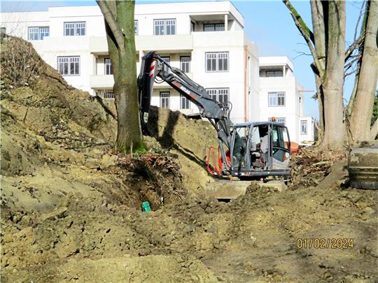 Die Bürgerliste vermutet Baumfrevel auf der Cattenberg-Park-Baustelle.  Foto: Privat