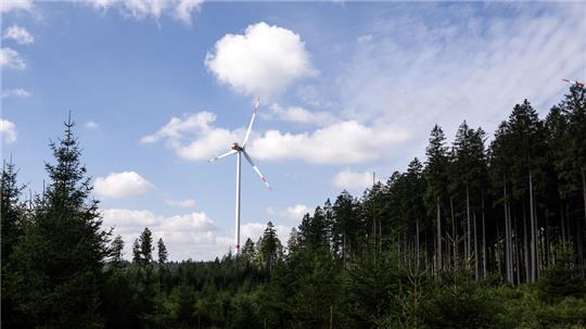 Die Bürgerliste will keine Windräder im Goslarer Stadtforst.