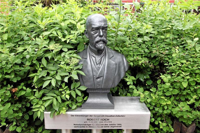 Die Büste Robert Kochs wurde 2005 vor seinem Elternhaus am Kronenplatz aufgestellt.