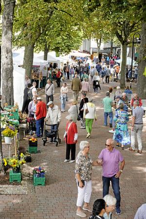 Nächste Großveranstaltung in Bad Harzburg: Öko-Markt am Sonntag Die Bummelallee (hier ein Bild aus dem vergangenen Jahr) wird beim Öko-Markt sicherlich nicht so voll, wie beim Salz- und Lichterfest. Aber mit einer ordentlichen Besucherzahl ist zu rechnen.