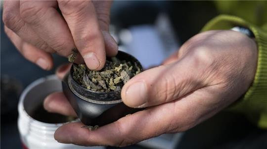 Die Bundesländer hätten bislang keine klaren Regelungen für die Lizenzen von Anbauflächen für Cannabis aufgestellt und „bis auf wenige Ausnahmen“ noch nicht mal eine zuständige Behörde benannt.