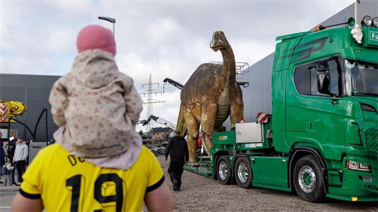 Die Dinosaurier-Dame „eLise“, ein lebensgroßer Camarasaurus aus Stahl und Beton, wird von ihrem bisherigen Standort bei den Saurierfährten Barkhausen in Bad Essen nach Damme transportiert.