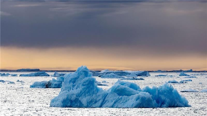 Die Dokumentation von Werner Herzog, in der der Pinguin vorkommt, ist aus dem Jahr 2007. (Archivfoto)