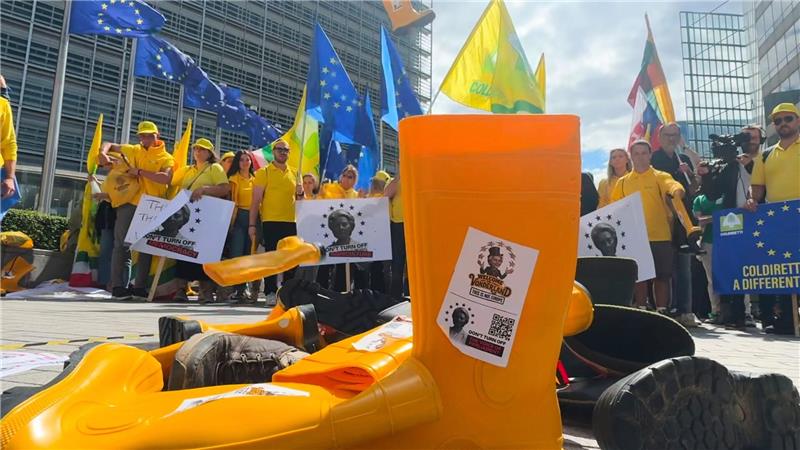 Die EU-Abgeordneten wollen Europas Landwirten mehr Geld fest zusagen. (Archivbild)