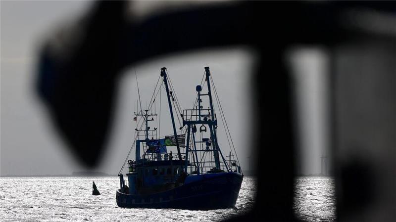 Nordseefischer müssen 2025 weniger Hering fangen Die EU-Kommission erarbeitet jedes Jahr auf Grundlage wissenschaftlicher Empfehlungen Fangmengen. Das letzte Wort haben aber die EU-Fischereiminister.
