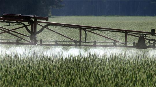 Die EU hat die Genehmigung für Glyphosat zuletzt bis Ende 2033 verlängert. (Symbolbild)