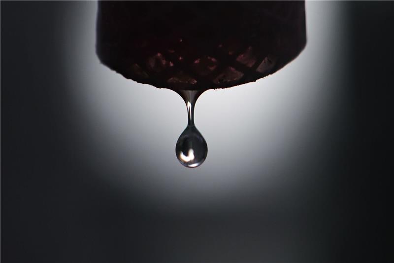 WWF: Wassermangel in Europa durch Missmanagement verursacht «Die EU muss eine zukunftsfähige Wasser- und Klimaanpassungsagenda vorantreiben.»