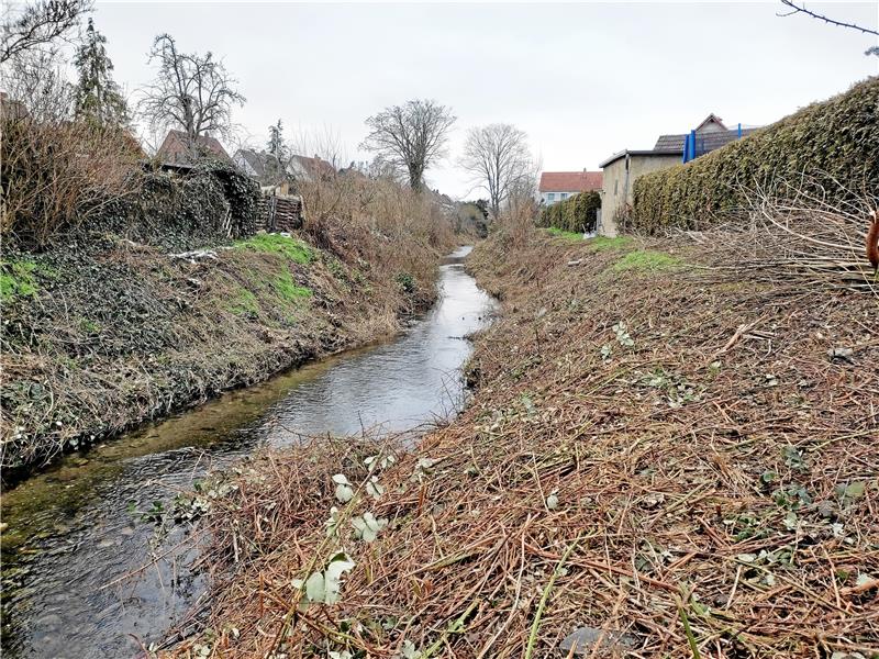Der Hochwasserschutz in Wiedelah geht zulasten der Natur Die Ecker in Wiedelah nach dem Eingriff mit Kettensäge. Die Arbeiten dienen dem Hochwasserschutz. Foto: Privat