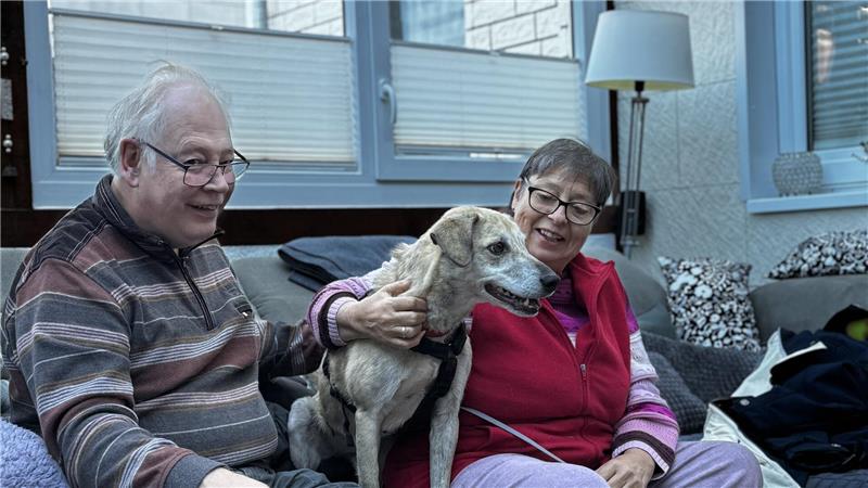 Hund Benni nach Unfall auf der A7 wiedergefunden Links sitzt Ignaz Strasser, in der Mitte Hund Benni und rechts Karin Strasser, die Benni lächelnd streichelt.