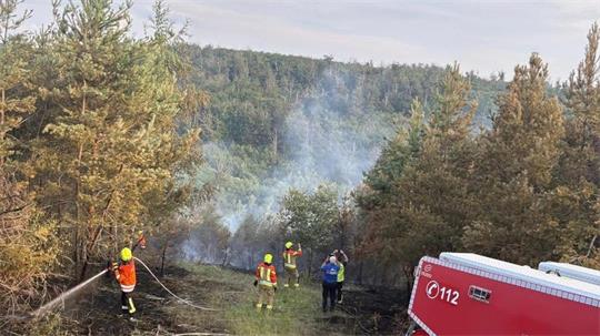 Feuerwehrleute stehen mit Wasserschläuchen vor einen qualmenden Wald.
