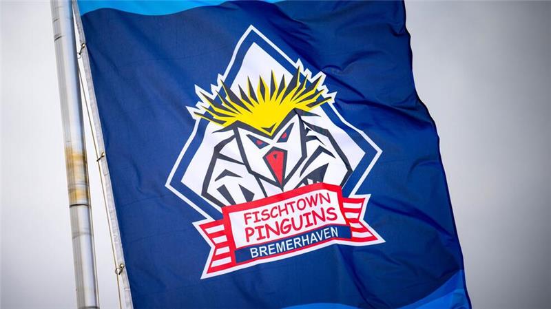 Pinguins verlieren Viertelfinal-Hinspiel in der Schweiz Die Eishockey-Pinguins aus Bremerhaven haben das Viertelfinal-Hinspiel in der Schweiz verloren.