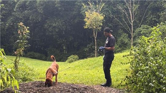 Die Ermittler entdeckten die Leichen mit Hilfe eines Spürhunds.