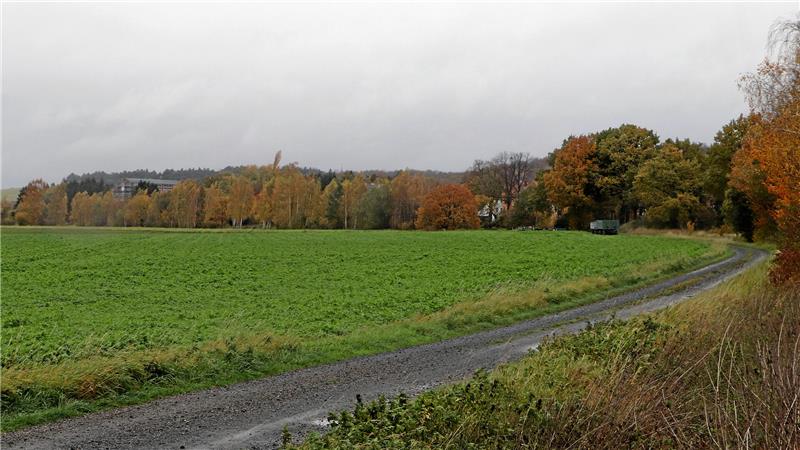 Wie soll es mit dem Gewerbegebiet Posthof weitergehen? Die Erweiterung des Gewerbegebiets soll in nördliche Richtung erfolgen. Im Hintergrund ist hinter den Bäumen ein Gebäude der ehemaligen Grube Ida zu sehen.