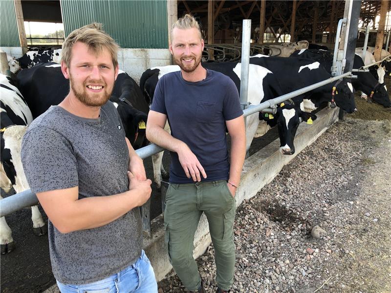 Die Ettenbütteler Milchviehhalter Simon (25, v.l.) und Claudius Müller (30) setzen in der Landwirtschaft auf Transparenz. Mit ihrer selbst produzierten Eismarke Milchburschen erreichen sie Verbraucher unmittelbar Foto: Christian Franz