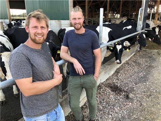 Die Ettenbütteler Milchviehhalter Simon (25, v.l.) und Claudius Müller (30) setzen in der Landwirtschaft auf Transparenz. Mit ihrer selbst produzierten Eismarke Milchburschen erreichen sie Verbraucher unmittelbar Foto: Christian Franz