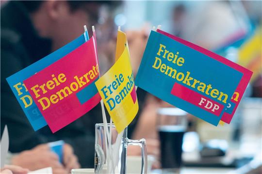 Die FDP-Mitgliederbefragung war Mitte des Monats gestartet.