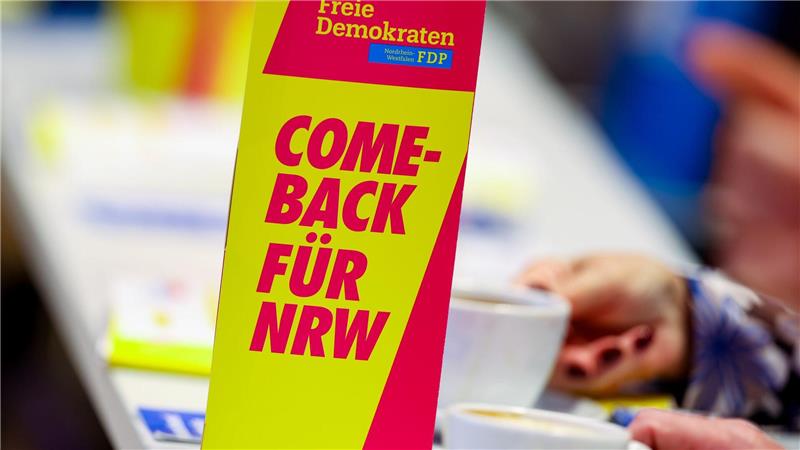Die FDP kämpft um ihr politisches Überleben.