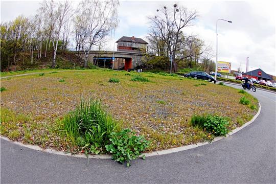 Die FDP wirbt: Der Park soll nach Gerd Politz benannt werden.  Foto: Epping