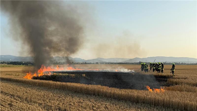 Von Lookout bis Safety – Feuerwehr übt unter Realbedingungen Die „Fachgruppe Wald“ der Gemeinde Liebenburg ist im Einsatz.